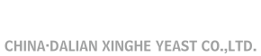 XINGHE YEAST