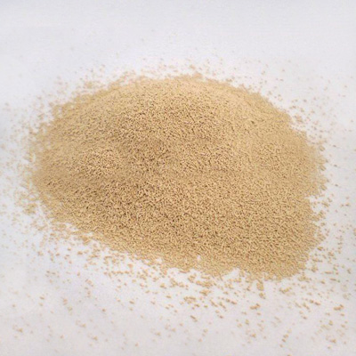 Instant Dry Yeast / Baker`s Yeast / Dry Yeast Powders